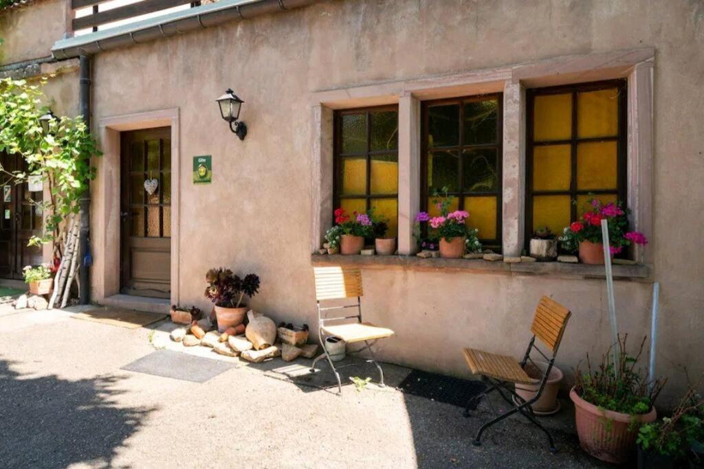 Gite L'Oeuf Ou La Poule, Parking Prive, Sur Domaine Viticole Ribeauville  Bagian luar foto